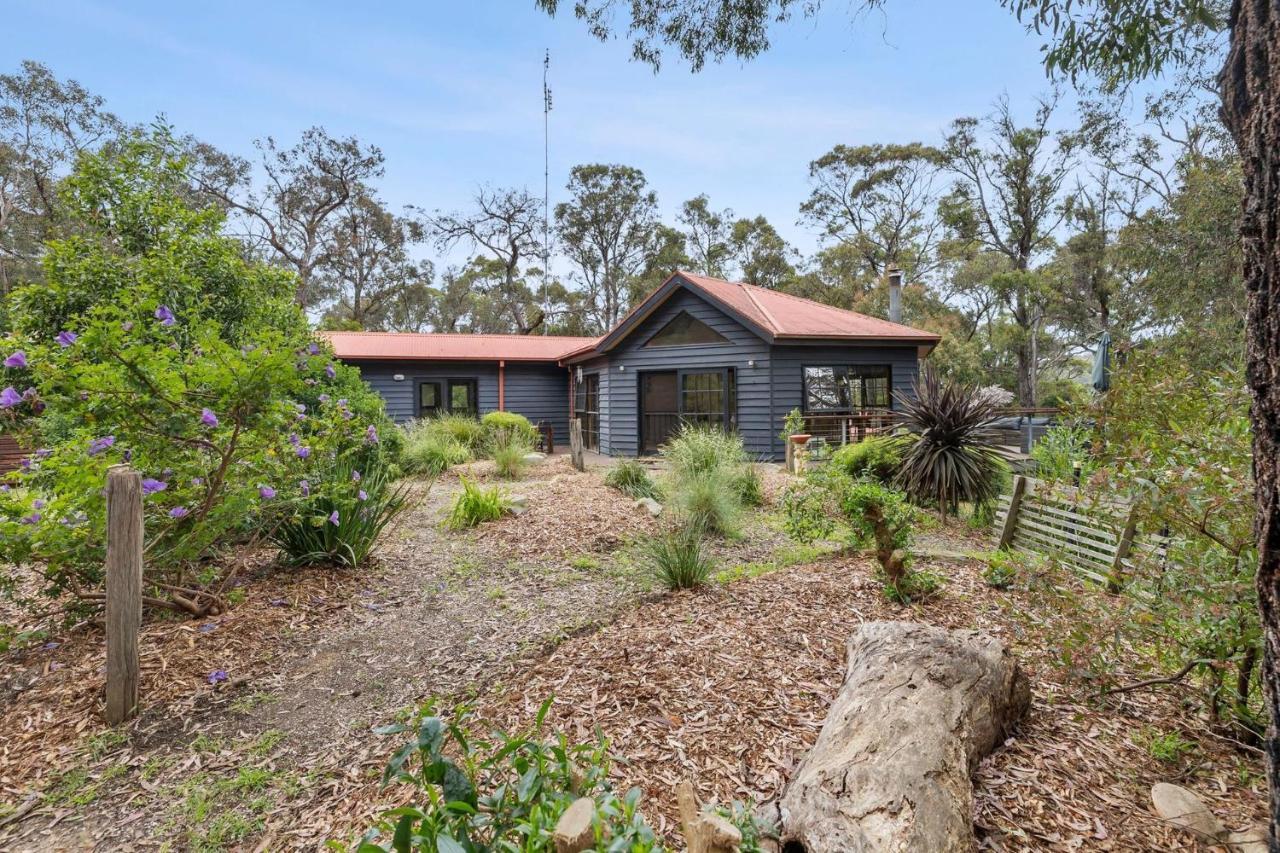 Yirrip House Nestled On The Edge Of National Park Villa Aireys Inlet Exteriör bild
